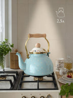 Enamel kettle 2.5L